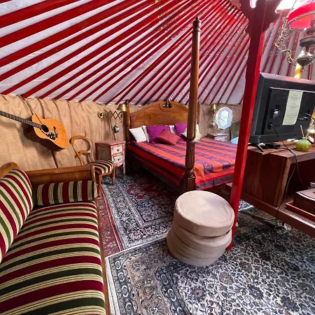 Crazy Lounge إيغل