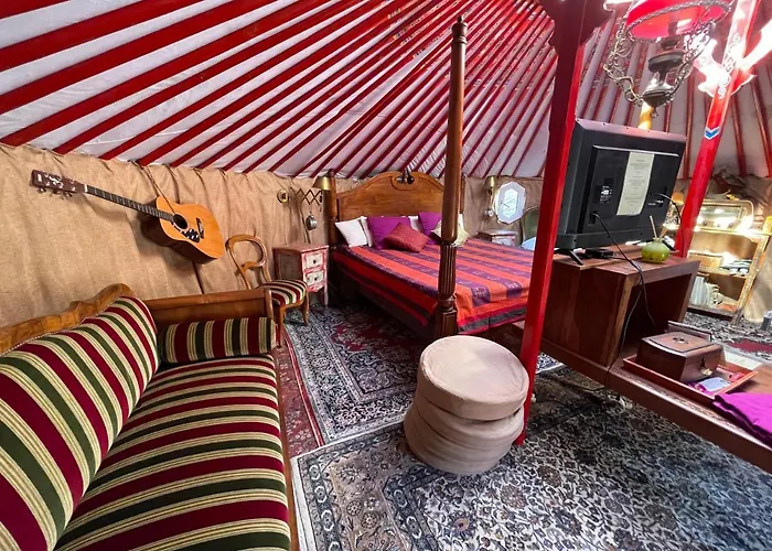 Crazy Lounge إيغل