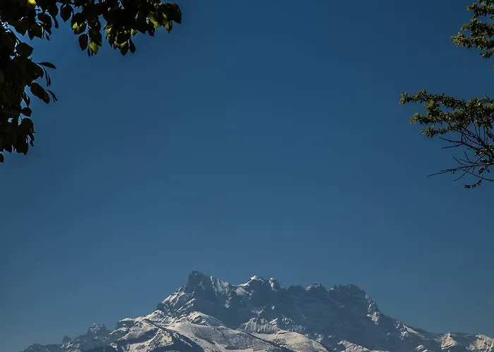 Crazy Lounge 2* إيغل