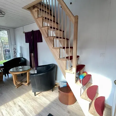 Crazy Lounge Bed and Breakfast