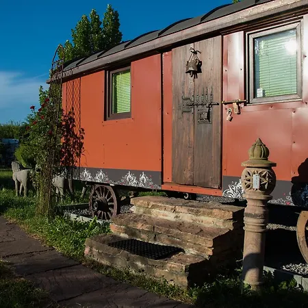 Crazy Lounge Bed and Breakfast 2*