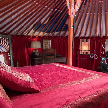 Bed and Breakfast Crazy Lounge 2*