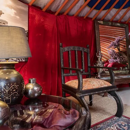 Bed and Breakfast Crazy Lounge 2*